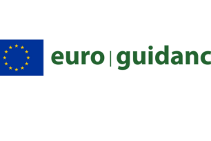 euro guidance 1 